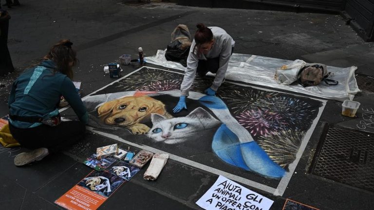 Madonnari: nel dipinto un cane e un gatto spaventati dai botti