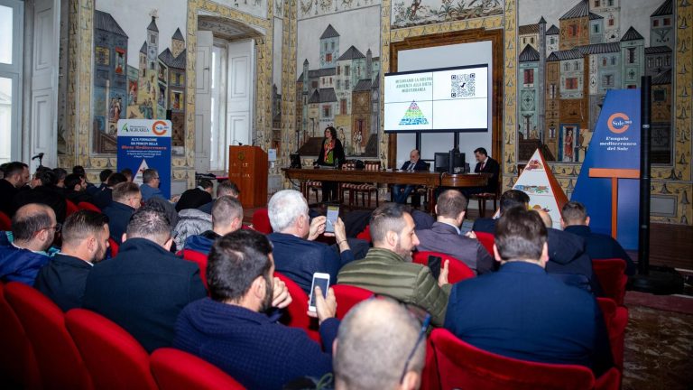 Dieta mediterranea, incontro al Dipartimento di Agraria con 90 professionisti