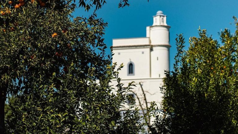 Agrumi in festa al Giardino Torre di Capodimonte