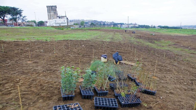 Pozzuoli si ripensa “green”, contro il climate change nasce una “foresta urbana”