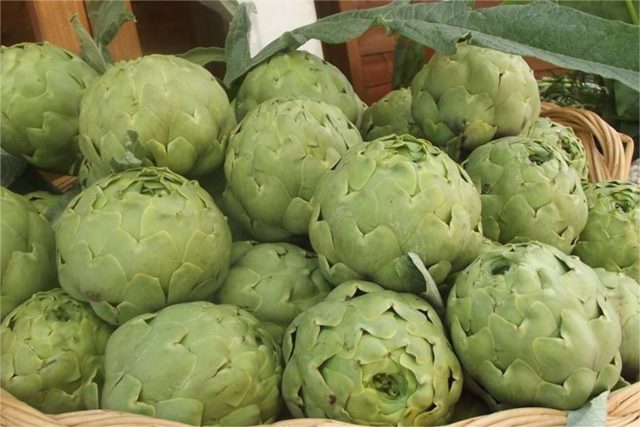 Sagra del Carciofo Bianco del Tanagro ad Auletta (SA)