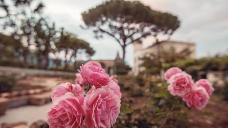 Giardini storici, appuntamenti speciali a Capodimonte e Ravello