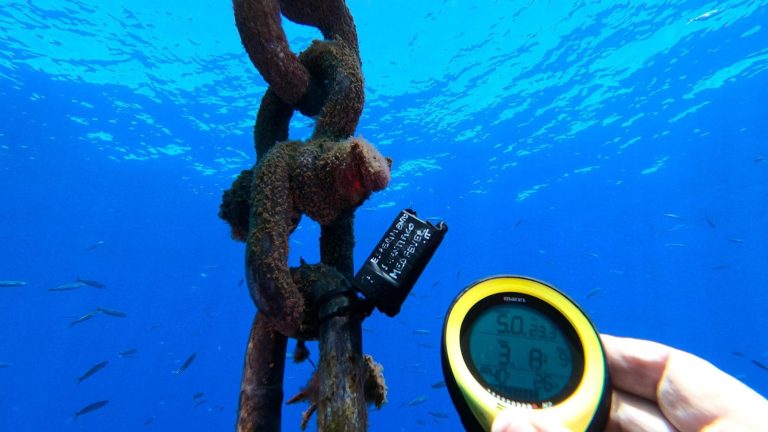 Nel golfo di Napoli la temperatura del mare è aumentata di un grado e mezzo negli ultimi 40 anni