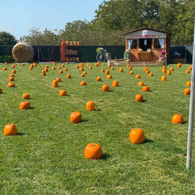 Mariland, il Paese delle Zucche: parco tematico per grandi e piccoli a Casamarciano