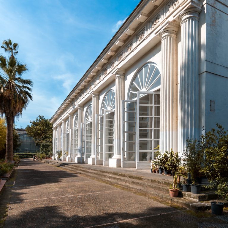 Festa di Natale 2024 all’Orto Botanico di Napoli: visita guidata e coro natalizio